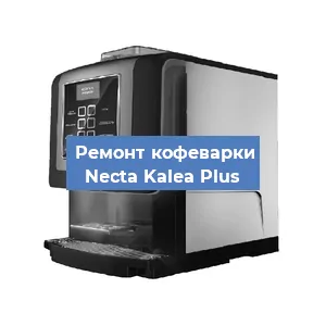 Замена жерновов на кофемашине Necta Kalea Plus в Санкт-Петербурге